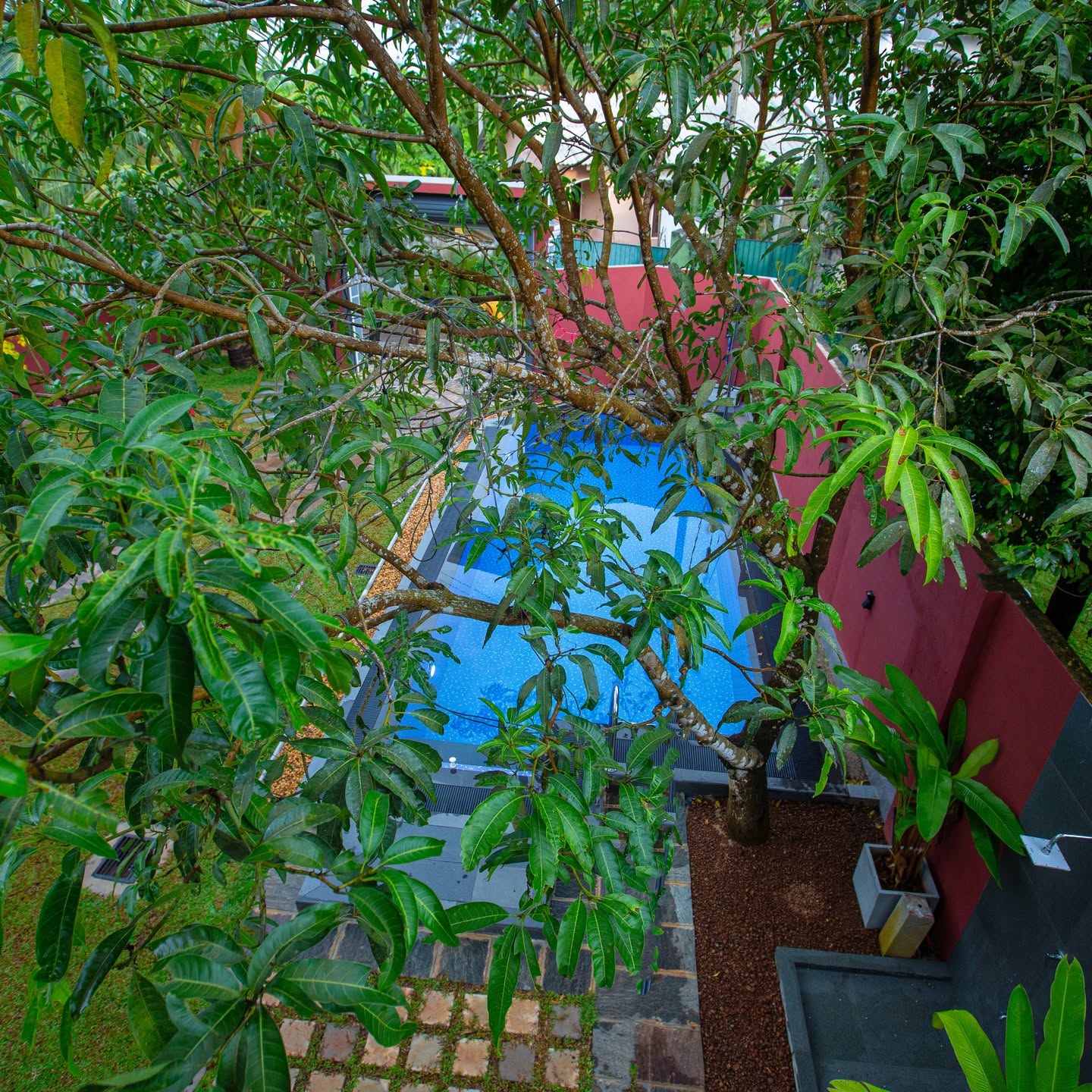 Nature Surroundings
